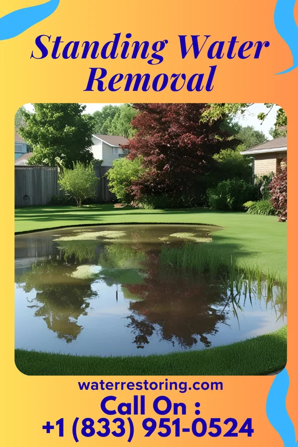 Standing Water Removal in Sikeston, MO